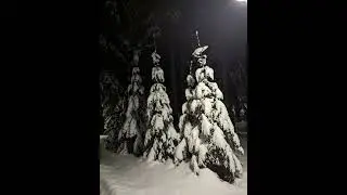 Тормозная мошенница звонит из 