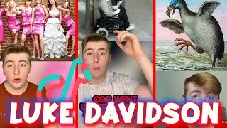 Luke Davidson | MOST Interesting FACTS | Tiktok Compilation 2022