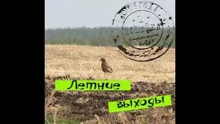 Летние выходы