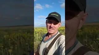 Если тормозит ютуб, смотрим на дзене.