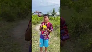 #shorts