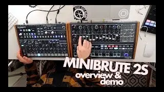 Minibrute 2S - First look!