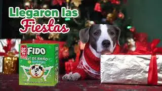 Navidad FIDO