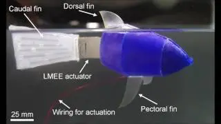 Soft swimming robot