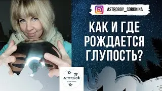 Как и где рождается глупость?