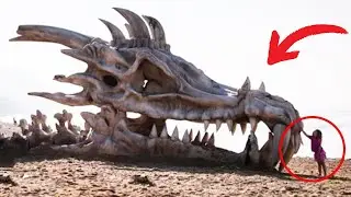 20 Mythical Creatures that Actually Existed