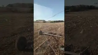 Боронование многолетних трав.