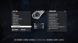 Fallout 4 stream for friend