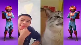 Best memes compilation 