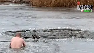 Rescue A Dog In Winter