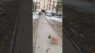 всем хаюшки!