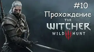 Ведьмак 3 Дикая Охота - Прохождение - #10 - DLC Кровь и вино