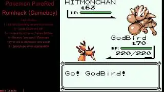 18. Let's Play Pokemon PureRed - Elite 4