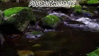3 SALMOS PARA EDFICAR SUA VIDA - 91,23,70