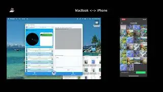 Shareeasy - A Ultra-Fast File Transfer Tool on LAN,  Cross-Platform: Android, iOS, macOS, Windows.