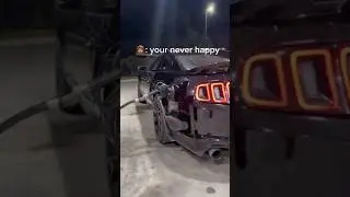 Stang Life 🤟