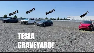 I VISTED A TESLA GRAVEYARD!