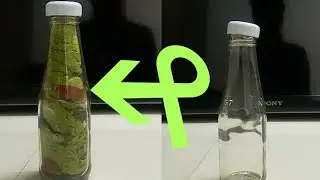 Amazing reverse video || Mr. BackTube
