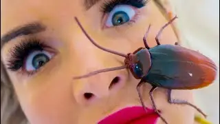 Roach On My Face!