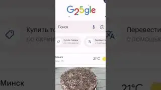 #с_др_гугл