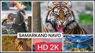 FULL 4K HD 1080