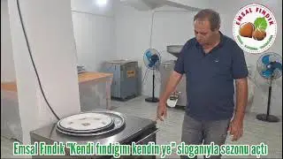 ALAPLI  EMSAL FINDIK,  KENDİNİ YENİLEMEYE DEVAM EDİYOR,