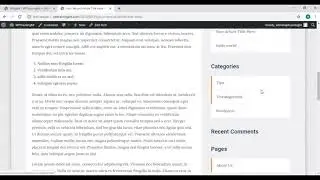Video 22 – How to edit and set Widgets in WordPress?