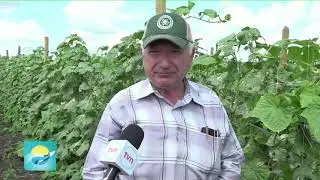 CASTRAVEȚI PERFECȚI, DUPĂ STANDARDE NOI