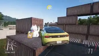 FORZA HORIZON 5 recolecta 8 gatos de la suerte en el aeródromo en la selva