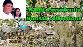 BONSAI WORKSHOP #182 - At Sir Rolly Laparan's garden