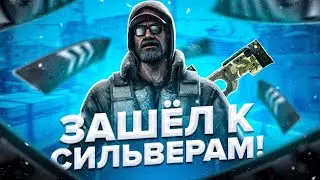 В МИРЕ СИЛЬВЕРОВ В CS:GO!