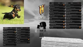slinky | the best hypixel config
