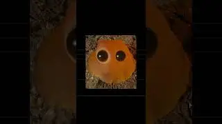 SCP-999 - Щекоточный монстр