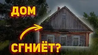 Как быстро сгниет дом из бруса 🏡 Сколько прослужит деревянный дом