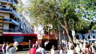 Cruz de mayo de los negritos 2016