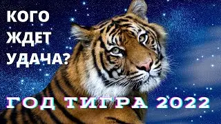 ПРОГНОЗ ГОД ТИГРА 2022 - кому принесет удачу