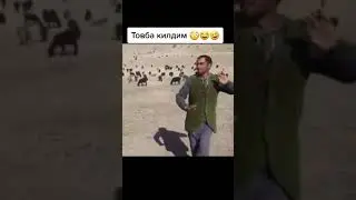 JANOB RASULNI YANGICHA QOSHIQIGA YANGICHA RAQS