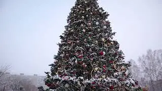 Открытие новогодней Елки в Кировском районе