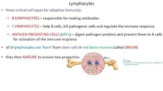 Adaptive Immunity