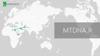 MTDNA R - DNAGENICS