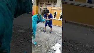 WAKTU KECIL AKU NGURUS ANJING 100 KALI | CERITA BOCAH CILIK