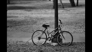 Film Of The Month: Ilford Pan F