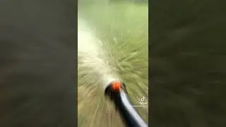 Stihl SR200 keeping the mosquitos away in my yard!