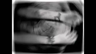אבי גואטה - ספיישל שקטים המלא
