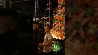 Giant Christmas Tree made of Plastic Bottles materials on the Making!