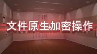 文件原生加密操作