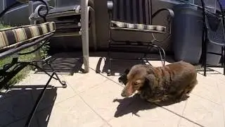 Cinnamon slow motion