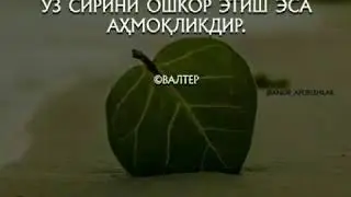 15 ши коронгу 15 ши ёруг...Абдуллох домла
