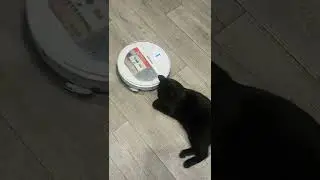 Робот - пылесос! Нужная вещь в хозяйстве.