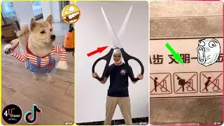 Best Comedy Solar System 😂 The most funny and interesting videos of 2020 😂 #178